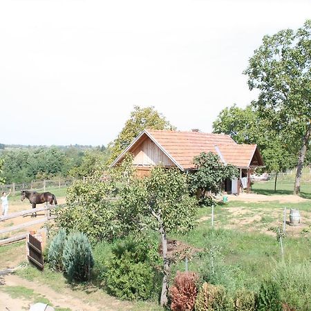 Farmica, Bed&Breakfast, Bazen Izdvojen Nekoliko Minuta Hoda Thurdevac Room photo