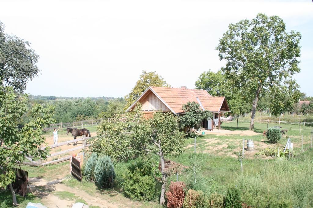 Farmica, Bed&Breakfast, Bazen Izdvojen Nekoliko Minuta Hoda Thurdevac Room photo