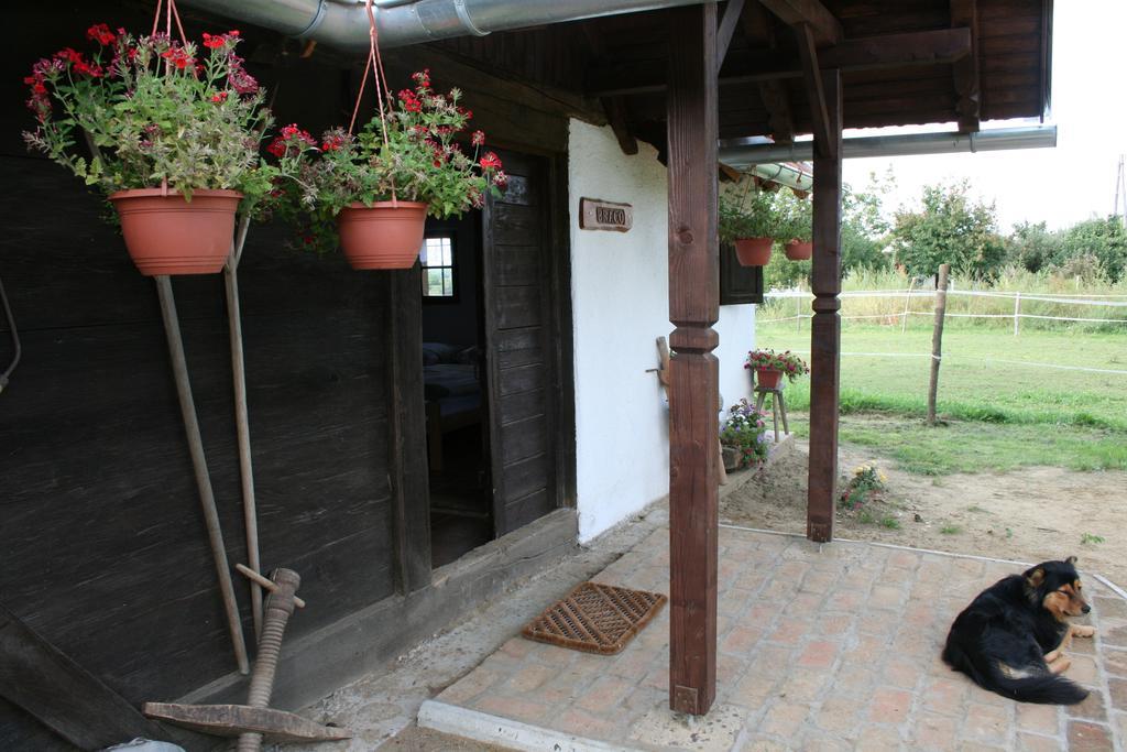 Farmica, Bed&Breakfast, Bazen Izdvojen Nekoliko Minuta Hoda Thurdevac Exterior photo