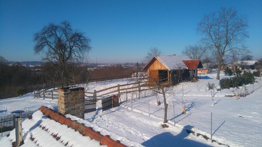 Farmica, Bed&Breakfast, Bazen Izdvojen Nekoliko Minuta Hoda Thurdevac Exterior photo