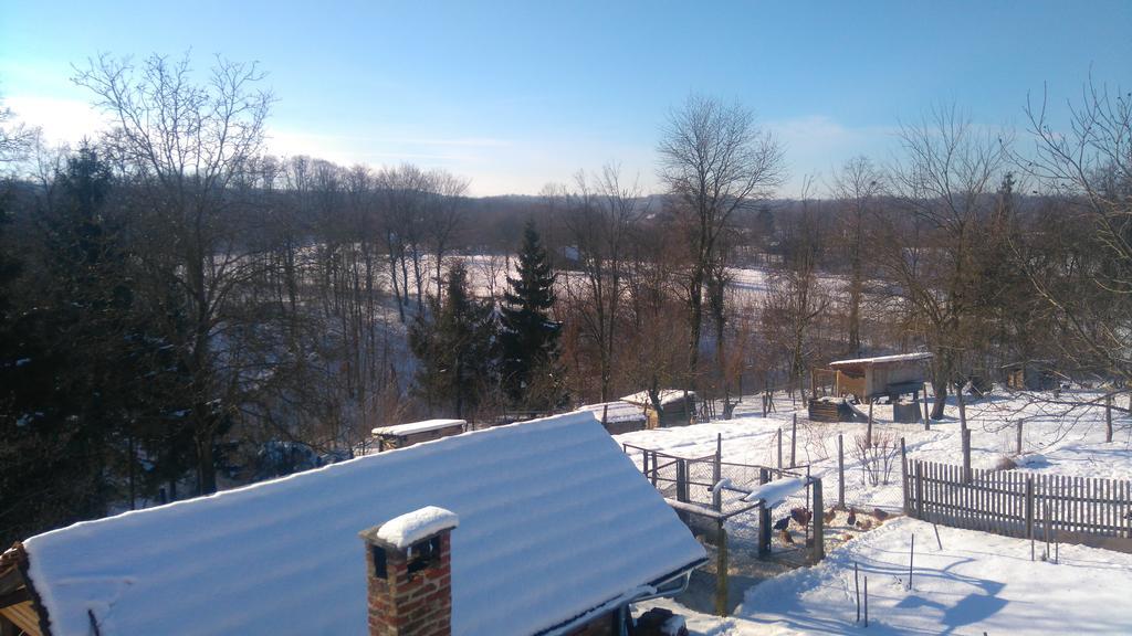 Farmica, Bed&Breakfast, Bazen Izdvojen Nekoliko Minuta Hoda Thurdevac Exterior photo