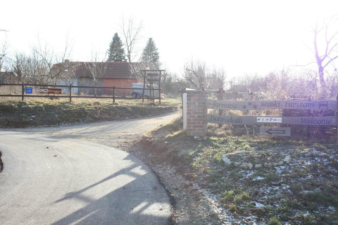 Farmica, Bed&Breakfast, Bazen Izdvojen Nekoliko Minuta Hoda Thurdevac Exterior photo